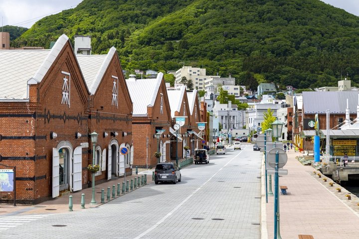 Excursion à terre dans le port et la baie au départ du port de Hakodate