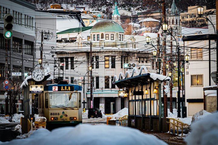 Excursion à terre dans le port et la baie au départ du port de Hakodate