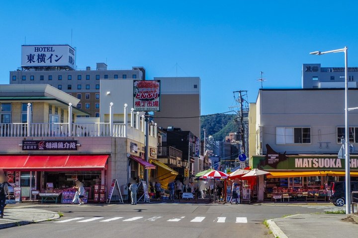Excursion à terre dans le port et la baie au départ du port de Hakodate