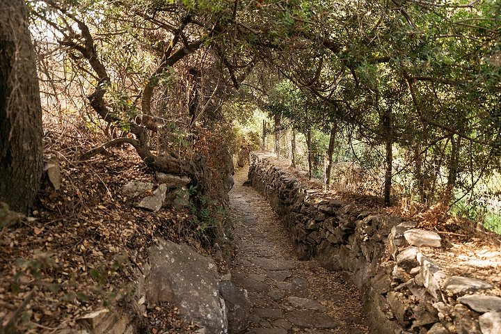 Naxos Halve dag geschiedenis en cultuur rondleiding