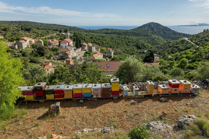 Hidden Hvar Eco Tuk Tuk Tour: Campos de Lavanda, Aldeias e Vistas