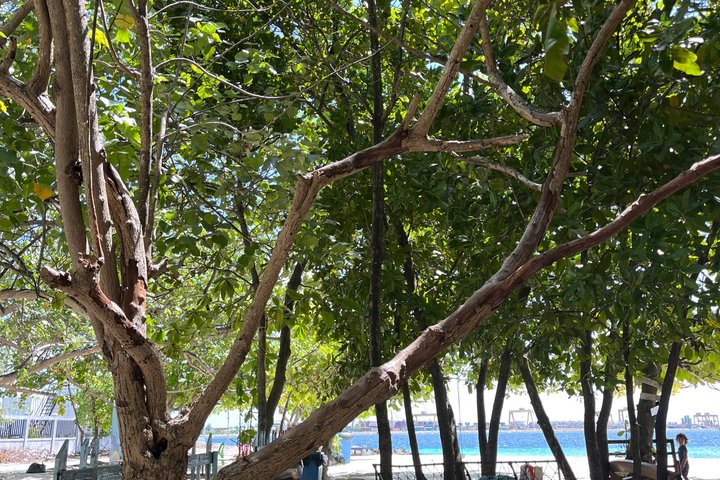 Maldivas 3 Island City Tour de Malé Hulhumalé e Villingili