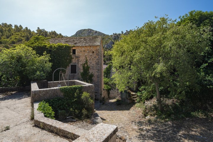 Hidden Hvar Eco Tuk Tuk Tour: Campos de Lavanda, Aldeias e Vistas