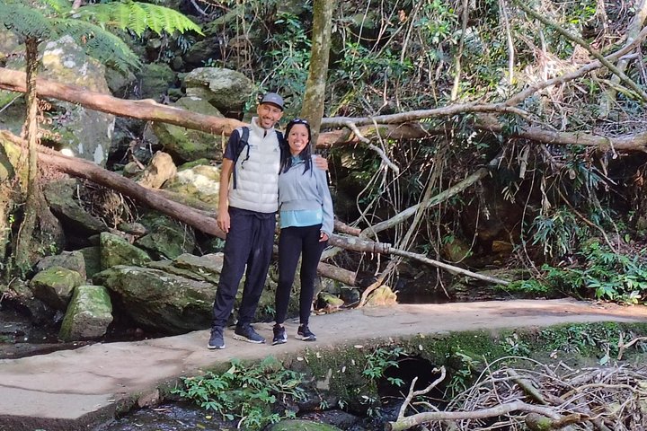 Private Gold Coast Wildlife Wasserfälle und Regenwald Tour