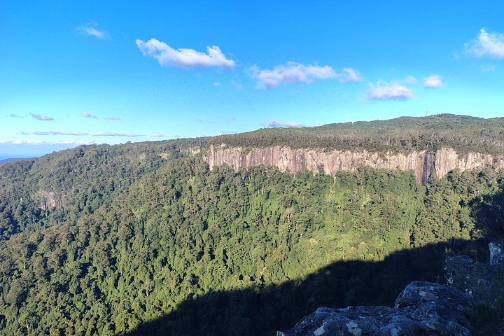 Private Gold Coast Wildlife Wasserfälle und Regenwald Tour