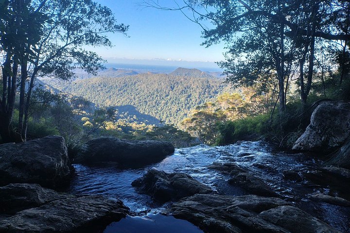 Private Gold Coast Wildlife Wasserfälle und Regenwald Tour