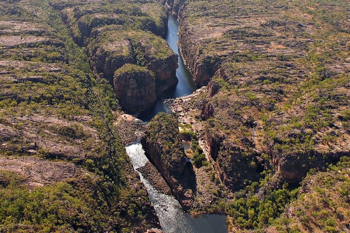KG12 Katherine Gorge fjärilsravin och Lily Ponds
