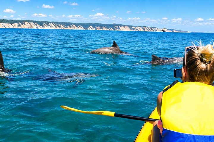 Noosa : Excursion épique en 4X4 d'observation des baleines sur les kayaks d'océan et la plage