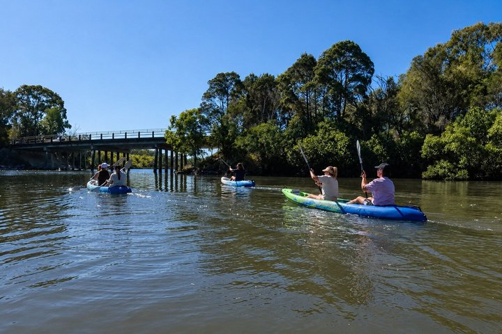 Noosa Heads : Epico tour in kayak per vie d'acqua nascoste e fauna selvatica