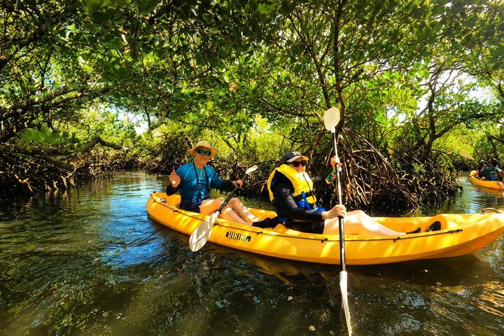 Noosa Heads : Epico tour in kayak per vie d'acqua nascoste e fauna selvatica