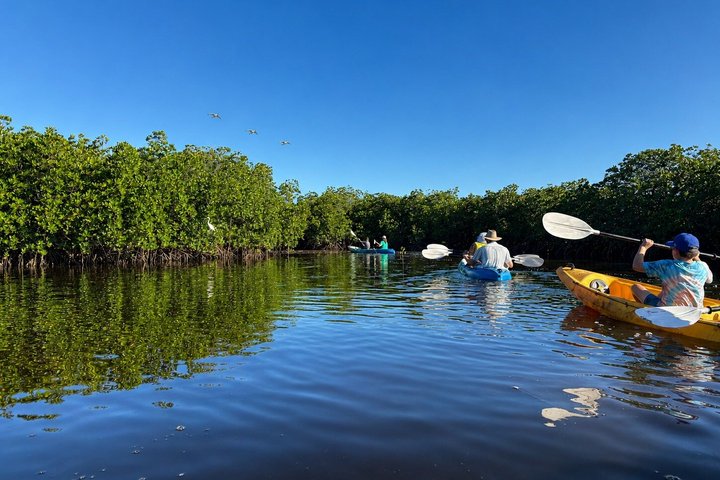 Noosa Heads : Epico tour in kayak per vie d'acqua nascoste e fauna selvatica