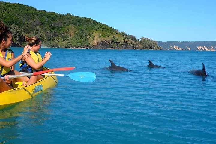 Rainbow Beach: Delfiner och vilda djur Ocean Kayak & Beach 4WD Tour