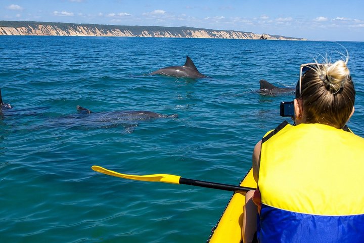 Rainbow Beach: Delfiner och vilda djur Ocean Kayak & Beach 4WD Tour