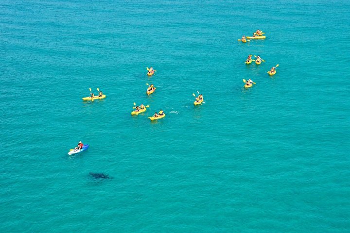 Rainbow Beach: Delfiner och vilda djur Ocean Kayak & Beach 4WD Tour