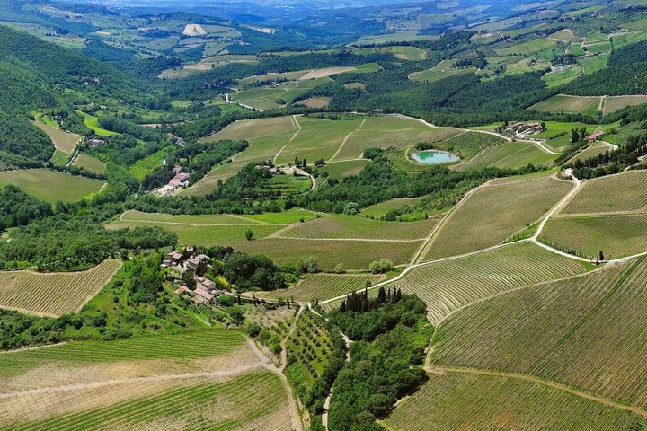 Radda i Chianti: Vinprovning, kældertur og toscansk frokost