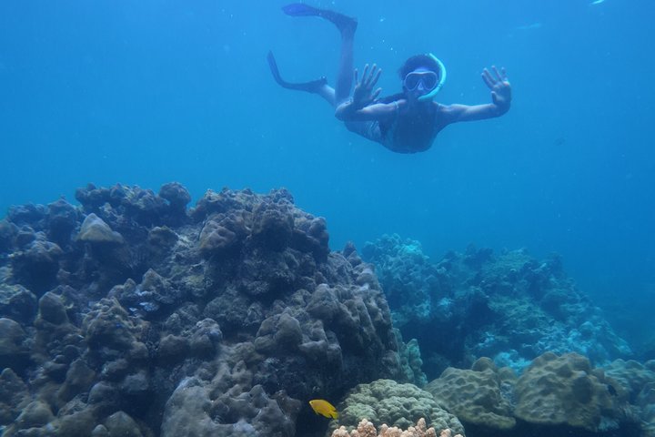 Tour de snorkeling de baixa temporada de Koh Lipe em barco longtail tradicional
