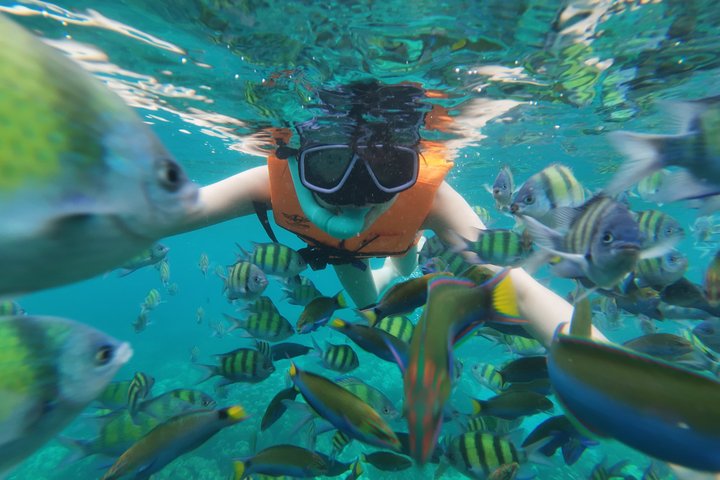 Tour de snorkeling de baixa temporada de Koh Lipe em barco longtail tradicional
