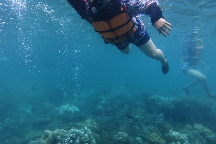 Tour de snorkeling de baixa temporada de Koh Lipe em barco longtail tradicional
