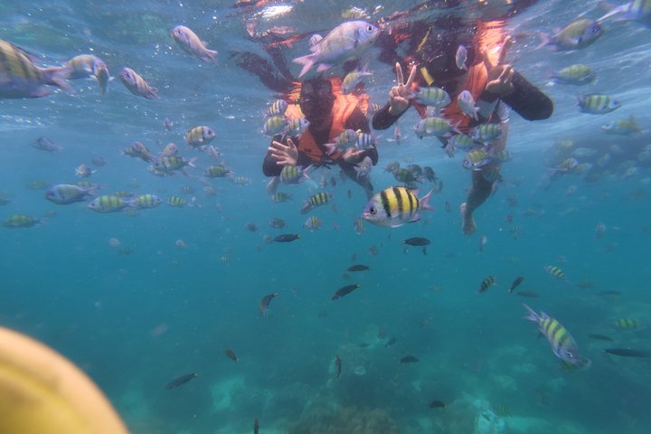 Tour de snorkeling de baixa temporada de Koh Lipe em barco longtail tradicional
