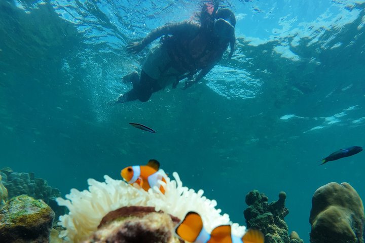 Tour de snorkeling de baixa temporada de Koh Lipe em barco longtail tradicional