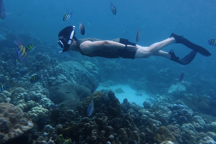 Tour de snorkeling de baixa temporada de Koh Lipe em barco longtail tradicional