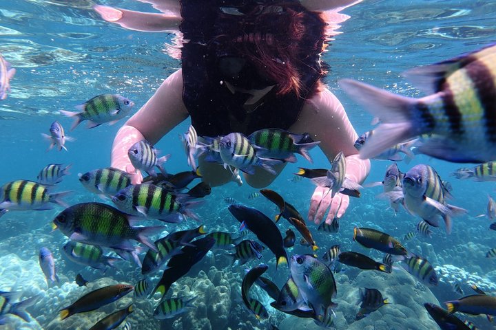 Tour de snorkeling de baixa temporada de Koh Lipe em barco longtail tradicional