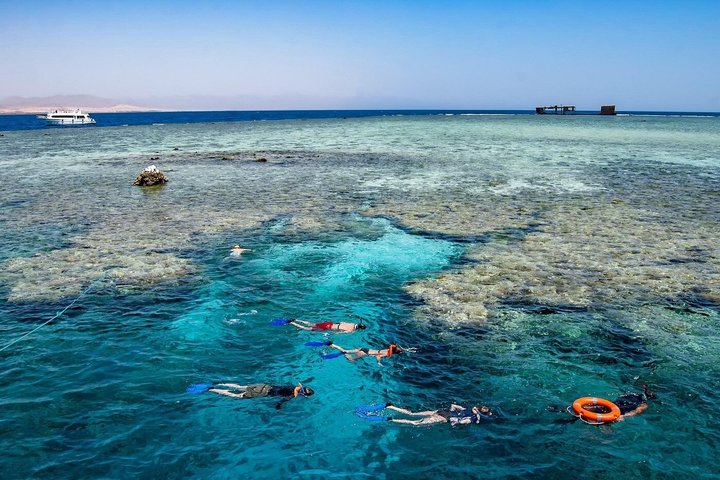 Sharm El Naga Journée complète de plongée avec tortues et déjeuner – Hurghada