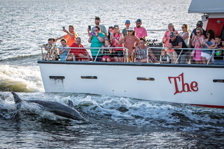 Hoteller i nærheten av BIG FUN Dolphin Cruise & Sealife