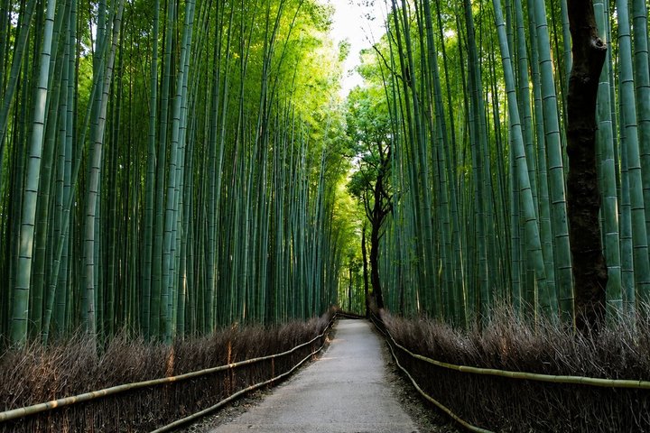 Tour privato in auto di Kyoto - intera giornata con Guida locale e opzione Nara