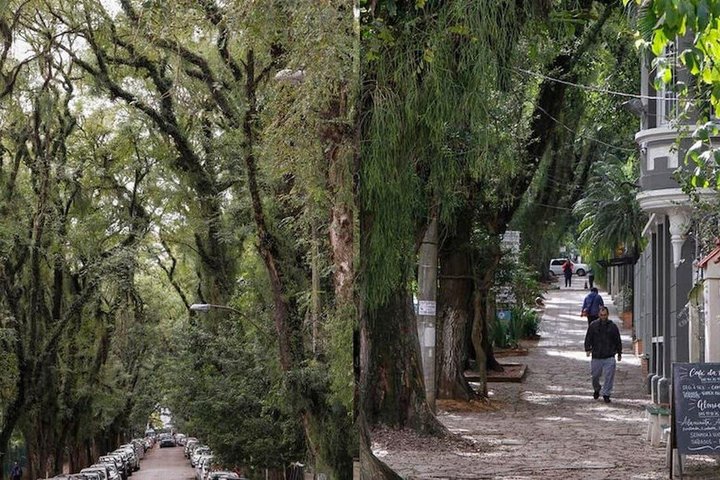 Porto Alegre: tour privato della città alla scoperta dei suoi punti salienti.