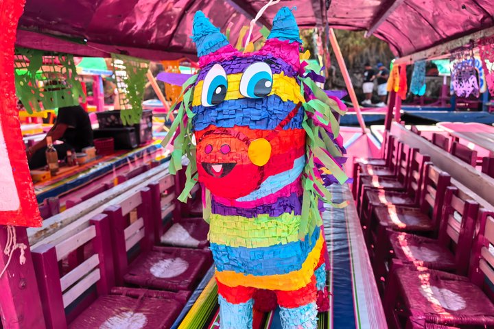 Excursion privée en bateau pour les familles à Mexico et Xochimilco (UNESCO)