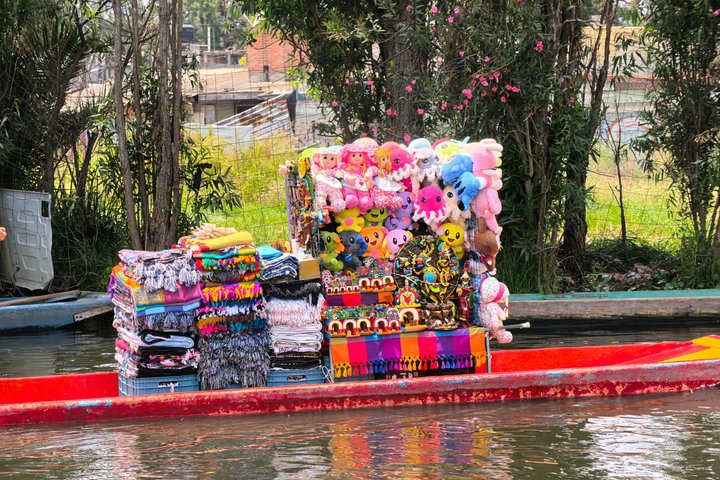 Excursion privée en bateau pour les familles à Mexico et Xochimilco (UNESCO)