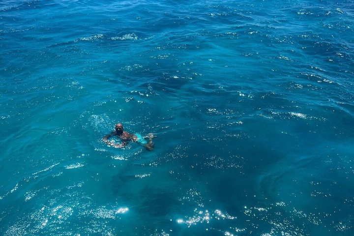 Sharm El Naga Journée complète de plongée avec tortues et déjeuner – Hurghada