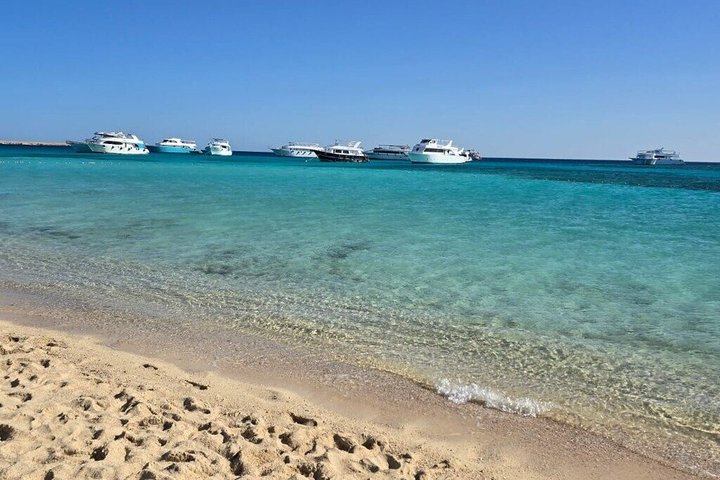 Abu Dabbab Volledige dag snorkelen met schildpadden & Dugong – Hurghada