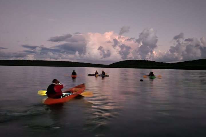 Tour de Dindin’s Biobay Tours-CLEAR BOTTOM KAYAKS en Mosquito Bay