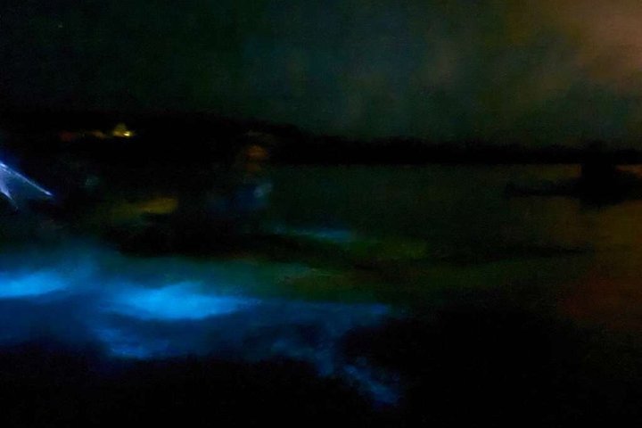 Tour de Dindin’s Biobay Tours-CLEAR BOTTOM KAYAKS en Mosquito Bay