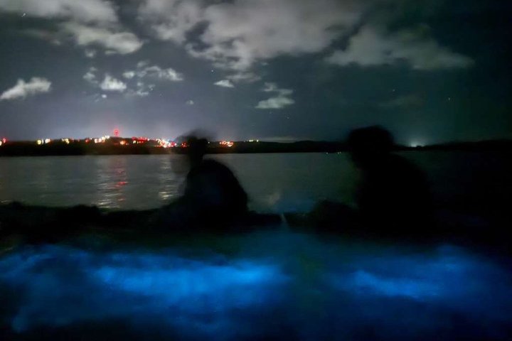 Tour de Dindin’s Biobay Tours-CLEAR BOTTOM KAYAKS en Mosquito Bay