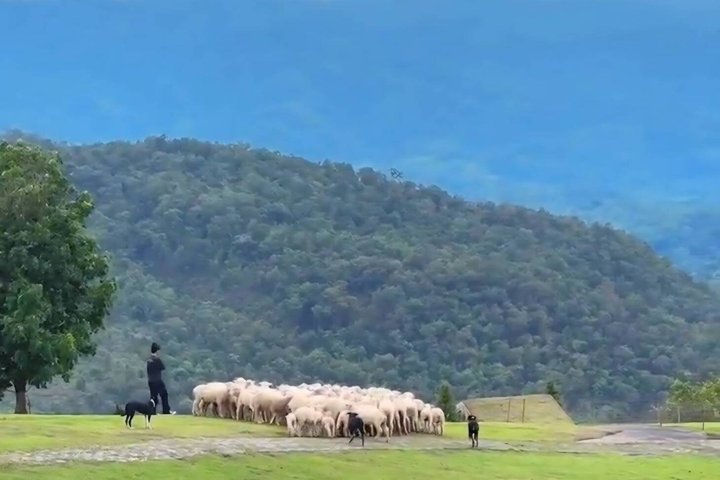 Hoteller i nærheden af Chiang Mai Private Scenic Transfer Tour