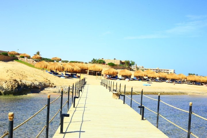 Sharm El Naga Journée complète de plongée avec tortues et déjeuner – Hurghada
