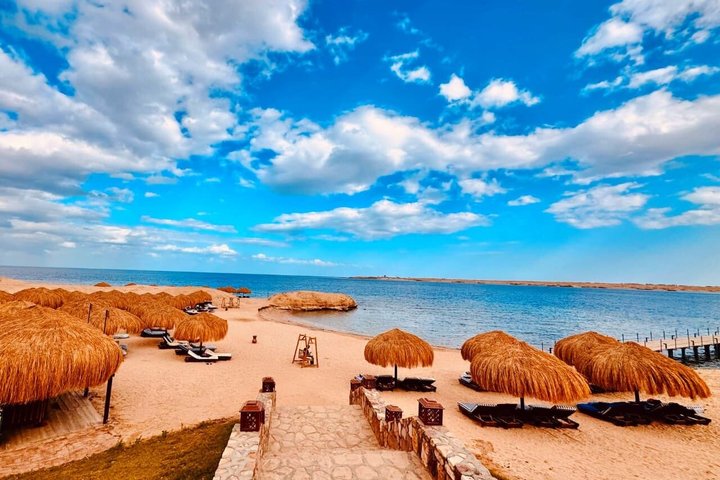 Sharm El Naga Journée complète de plongée avec tortues et déjeuner – Hurghada