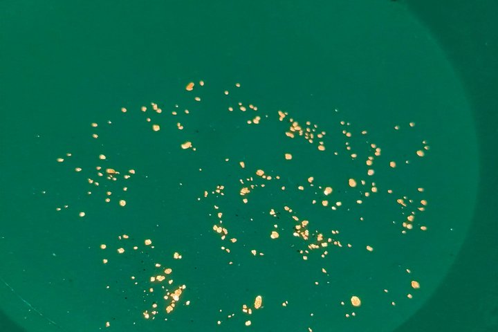 Maribor Autentica avventura Gold Panning sul fiume Drava