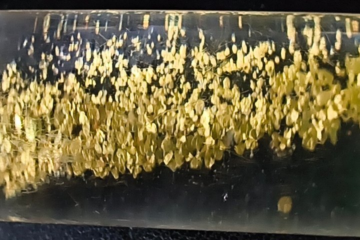 Maribor Autentica avventura Gold Panning sul fiume Drava
