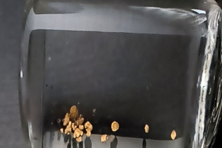 Maribor Autentica avventura Gold Panning sul fiume Drava