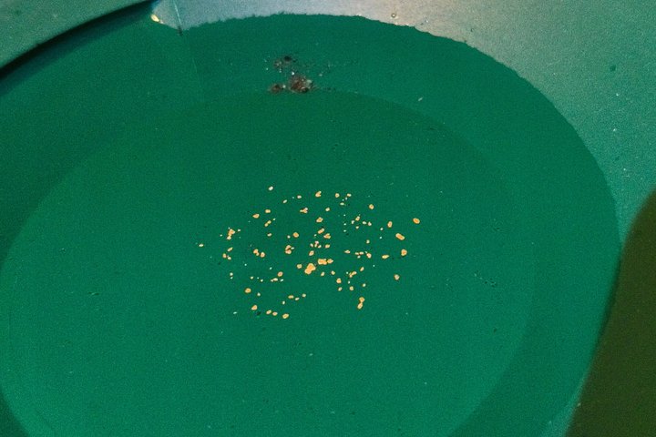 Maribor Autentica avventura Gold Panning sul fiume Drava