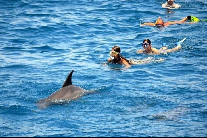Sharm El Naga Journée complète de plongée avec tortues et déjeuner – Hurghada