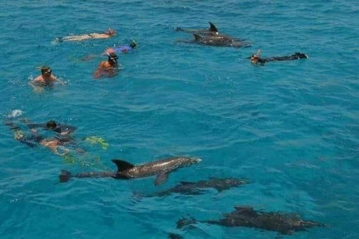 Sharm El Naga Journée complète de plongée avec tortues et déjeuner – Hurghada