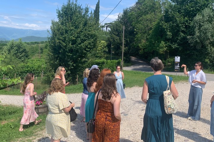 Tour privado todo incluido a Prosecco Hills - 2 bodegas y almuerzo.
