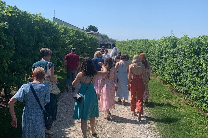 Tour privado todo incluido a Prosecco Hills - 2 bodegas y almuerzo.