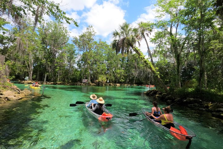 Clear Kayak Tour de las Tres Hermanas Springs y Manatí por Crystal River