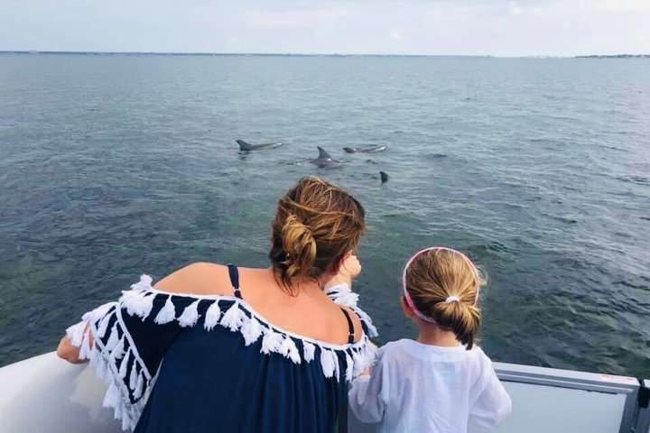 Frisky Meerjungfrau Delfin + Sightseeing Kreuzfahrt in Pensacola Beach
